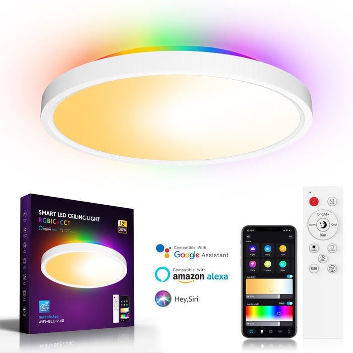 Dimmable RGB Smart Wi-Fi Ceiling Light - 30W 12inch