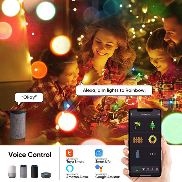 Smart Fairy String Lights RGBIC USB Powered