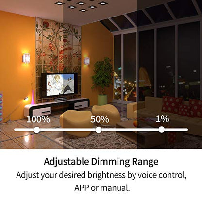 Smart Dimmer Switch with Remote Neutral Required (US Version)