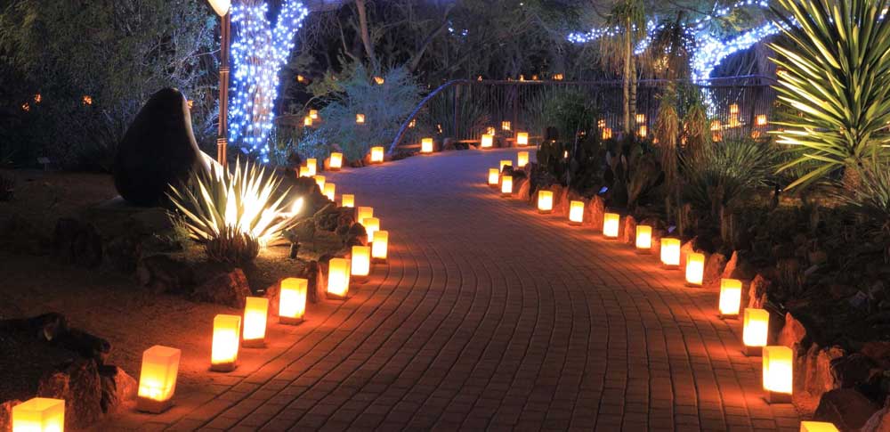 Solar Yard Lights