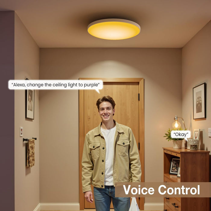12-in 30W Smart RGB+CCT Ceiling Lights WiFi & Bluetooth Works with Alexa and Google Assistant AC85~240V