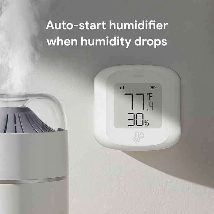Thermometer