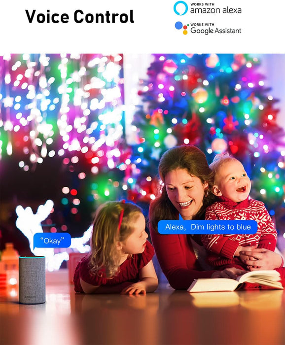 Smart Fairy String Lights RGBIC USB Powered