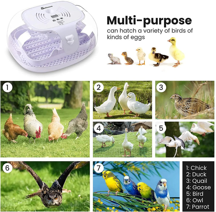 Smart Egg Incubator 16-35 Eggs