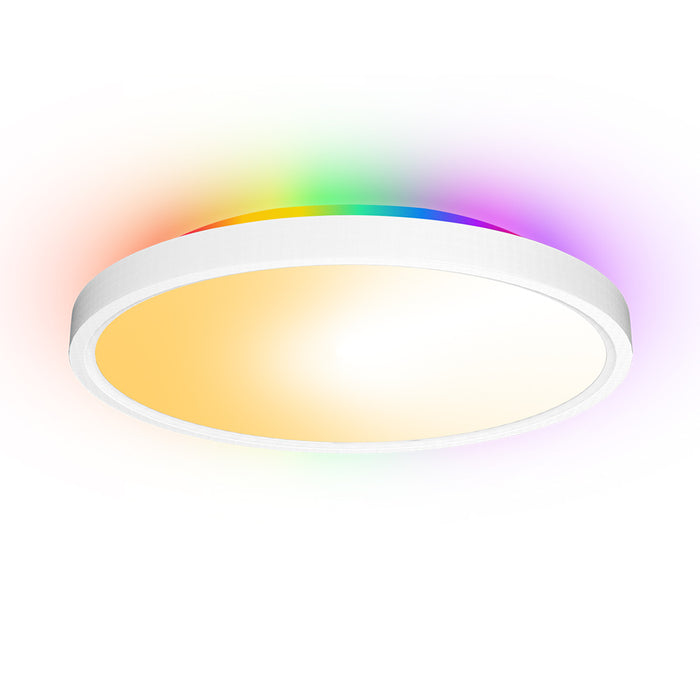 Dimmable RGB Smart Wi-Fi Ceiling Light - 30W 12inch