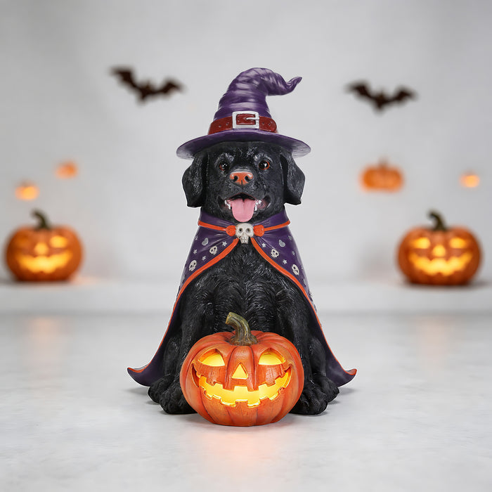 Halloween Black Labrador Retriever Dog Statue, Large Sitting Dog Figurine with Witch Hat & Cape, LED Light Up Jack-O-Lantern Pumpkin