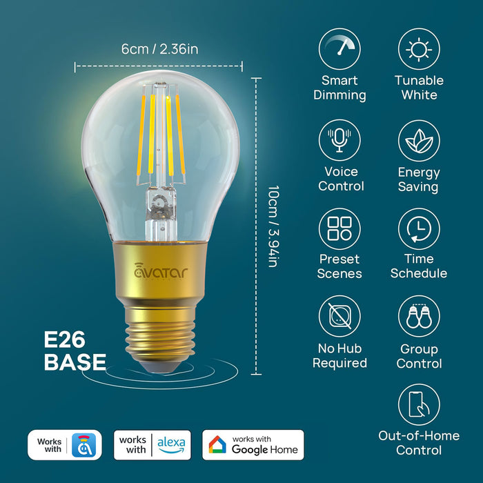 E26 A19 Smart Filament LED Bulb Edison Light Bulb 6W Works with Alexa/Google Home