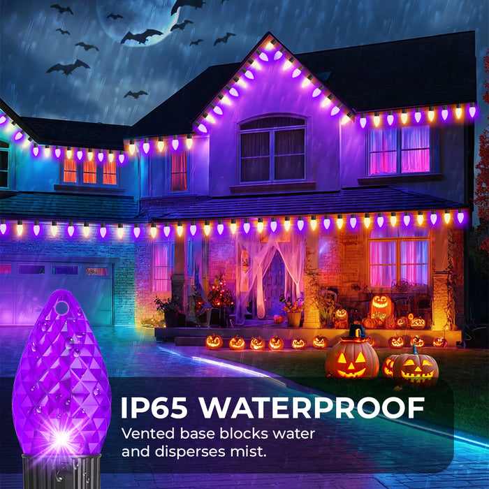 Dynamic C9 Halloween Christmas Strawberry Smart String Lights