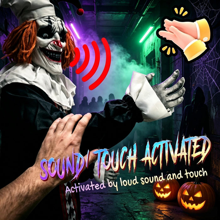 26004893