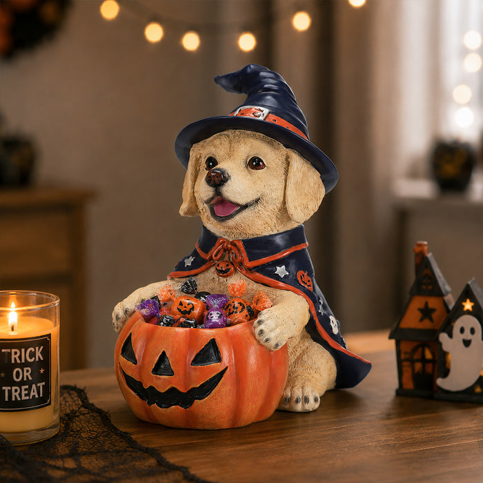 26004695