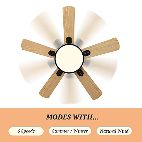 Smart Ceiling Fan with Lamp 50 inch