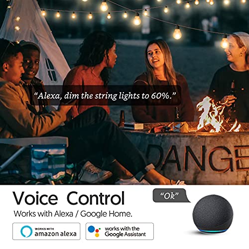 Dual-outlet Smart Dimmer Plug Outdoor Waterproof (US Version)