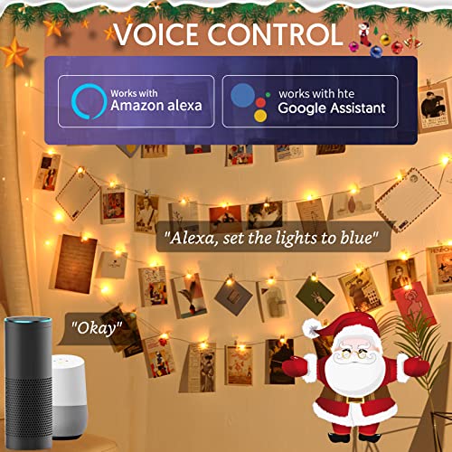 Smart Photo Clip LED Fairy Lights RGBIC Music Sync
