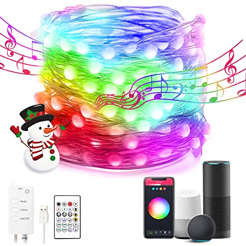 Smart Fairy String Lights RGBIC USB Powered