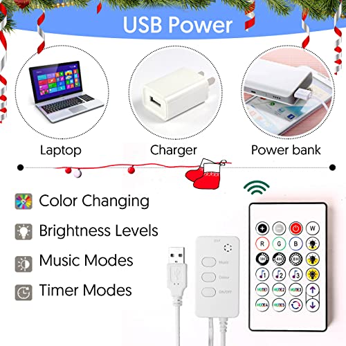 Smart Photo Clip LED Fairy Lights RGBIC Music Sync